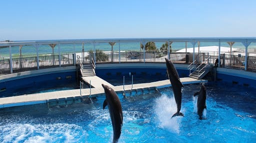 Gulfarium Marine Adventure Park