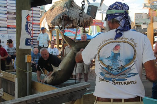 Destin Fishing Rodeo 1 Destin Fishing Rodeo