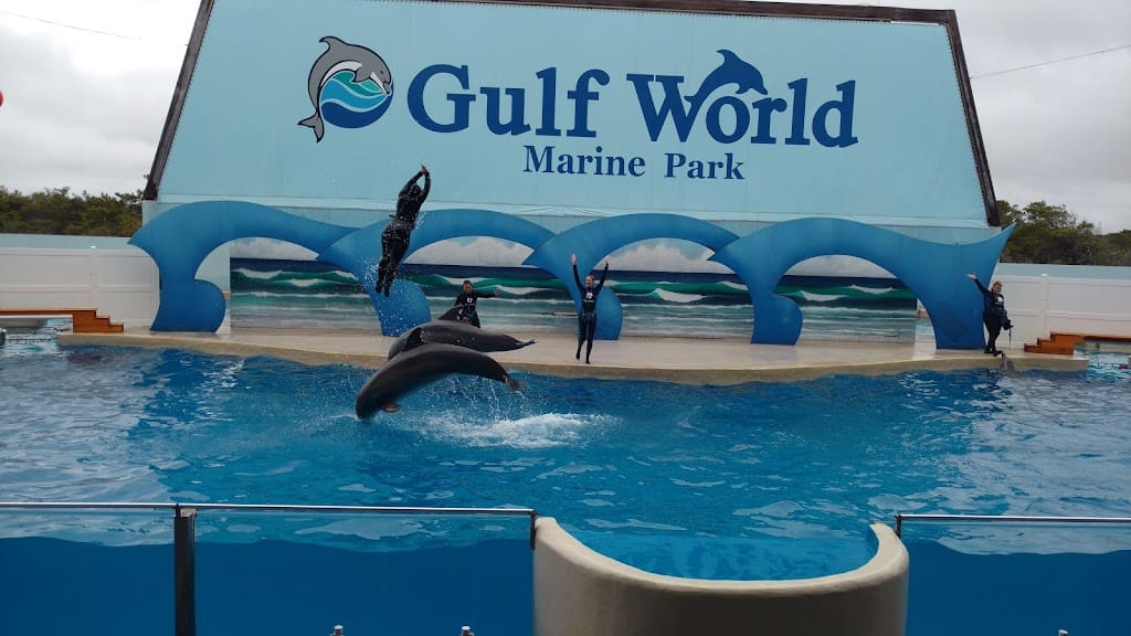 Gulf World Marine Park